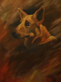american_indian_dog_by_esmeraldaananda-d5ybsa9.jpg