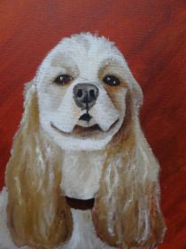 american_cocker_spaniel__bondi_3_by_esmeralda_snaphaan-d81gn0m.jpg