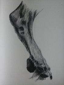 20140910_120154.jpg