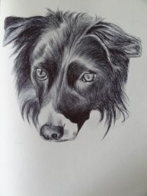 dog_by_esmeralda_snaphaan-d81brxi.jpg