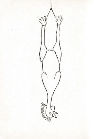 0002.jpg